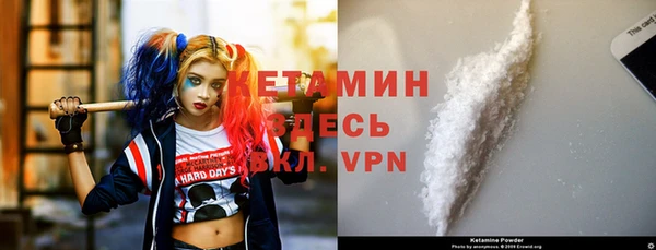 стафф Алзамай