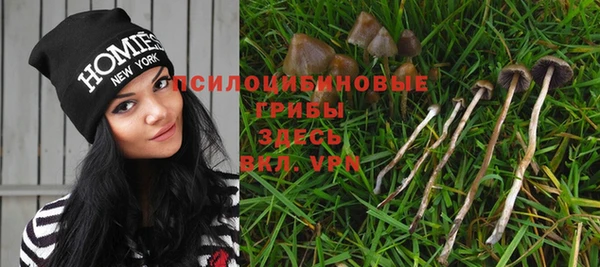 эйфоретик Алексин