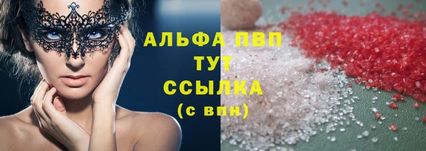 стафф Алзамай