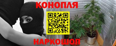 дмт Мариинск
