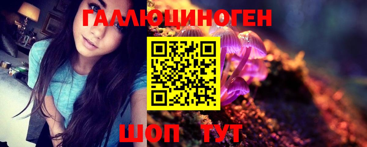 Галлюциногенные грибы GOLDEN TEACHER  Вход с VPN  Ковров 